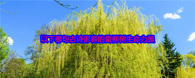 以下哪句古诗形容的是柳树生命力强