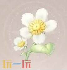 无限暖暖采集物小绵菊获得地点 小绵菊采集区域