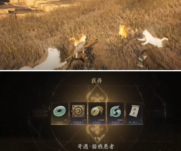 燕云十六声猫瘾患者奇遇怎么做