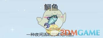 《星露谷物语》鲷鱼收集攻略