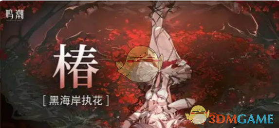 《鸣潮》洛可可最强配队阵容推荐