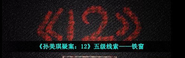 《孙美琪疑案：12》五级线索——铁窗