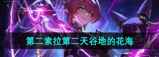 《鸣潮手游》第二索拉第二天谷地的花海攻略