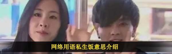 网络用语私生饭意思介绍