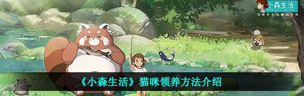 《小森生活》猫咪领养方法介绍