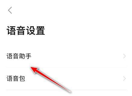 《高德地图》导航语速设置方法