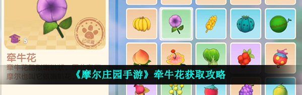 《摩尔庄园手游》牵牛花获取攻略