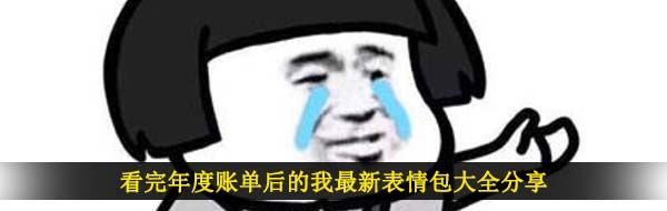 看完年度账单后的我最新表情包大全分享