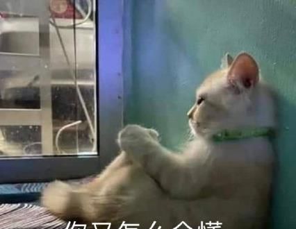 看完年度账单后的我最新表情包大全分享