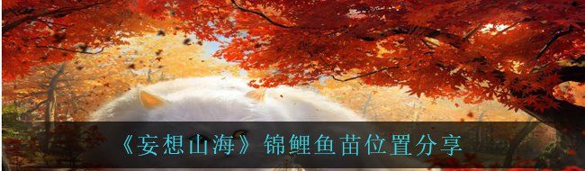 《妄想山海》锦鲤鱼苗位置分享