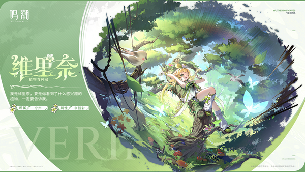 鸣潮维里奈怎么玩