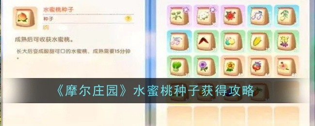 摩尔庄园水蜜桃种子怎么获得-获得攻略