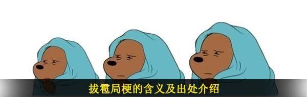 拔雹局梗的含义及出处介绍
