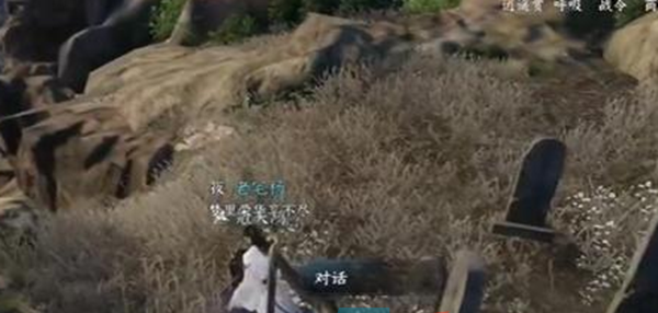 《逆水寒手游》何枝可依任务攻略