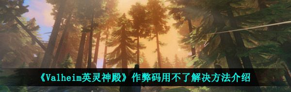 《Valheim英灵神殿》作弊码用不了解决方法介绍